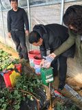 微信图片_20170331085246.jpg
